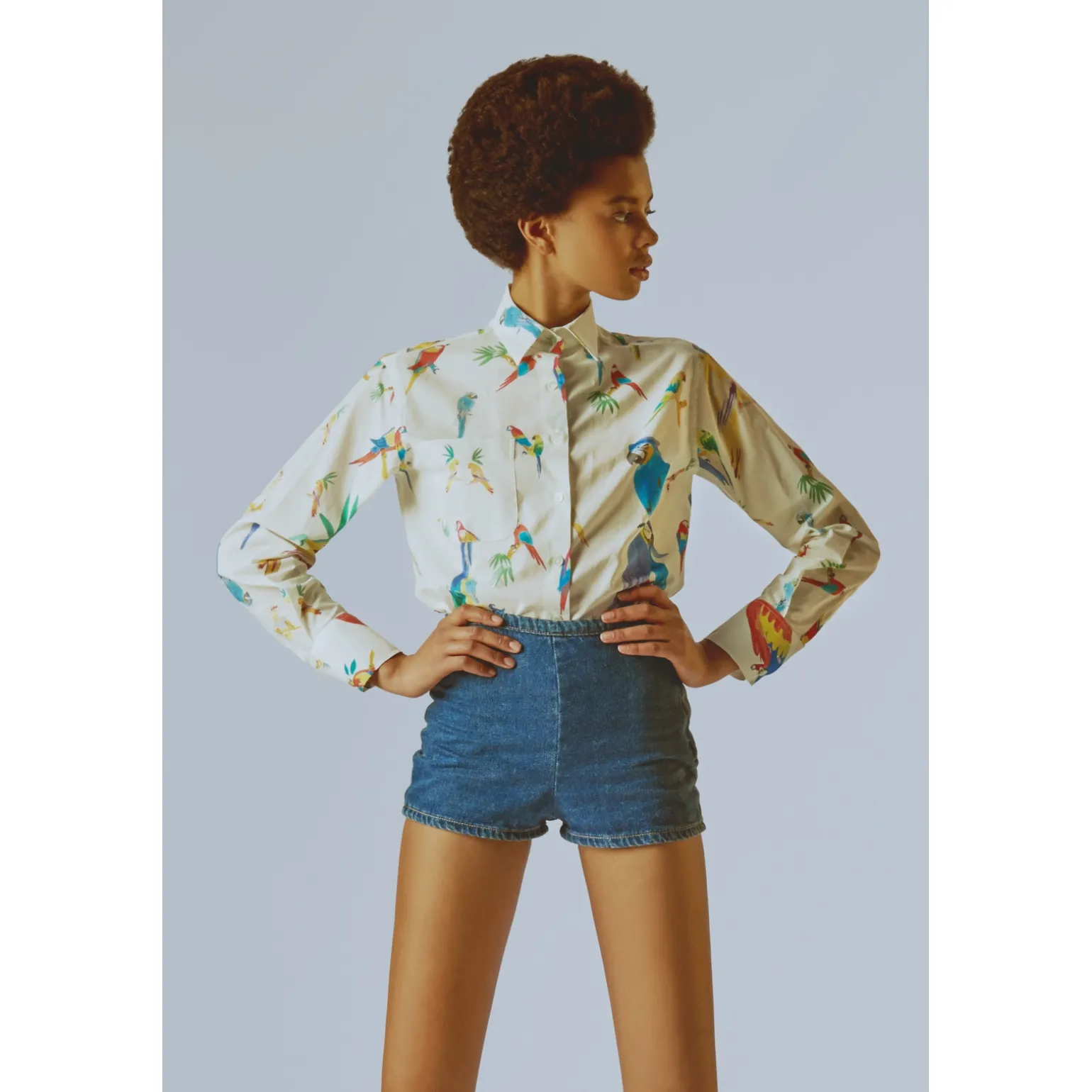 CHEMISE EN COTON Les Perroquets