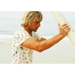 Super Surfeurs