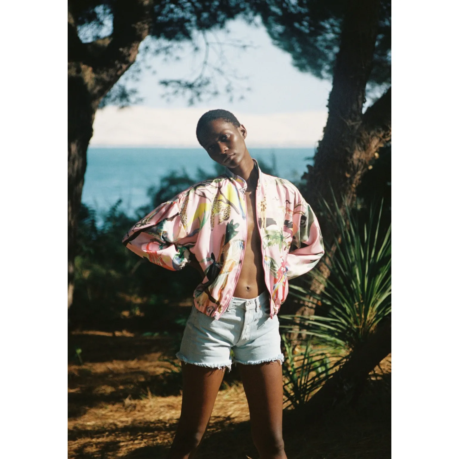 TEDDY Jungle Sauvage Pink